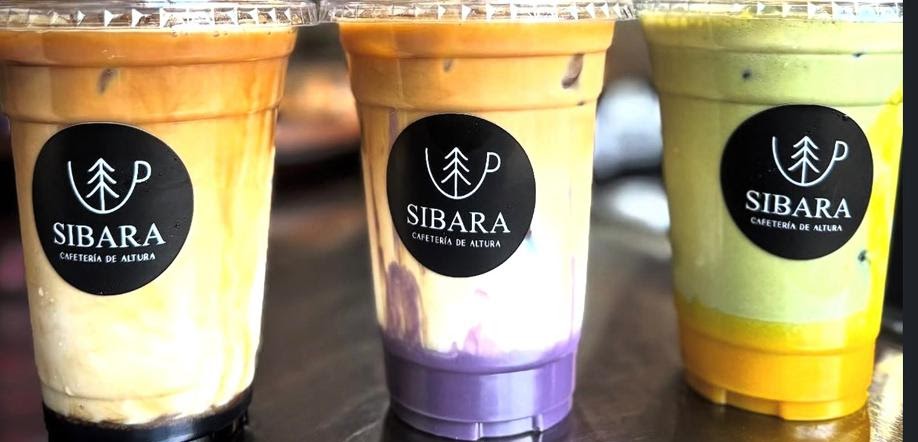 Bebidas SIBARA