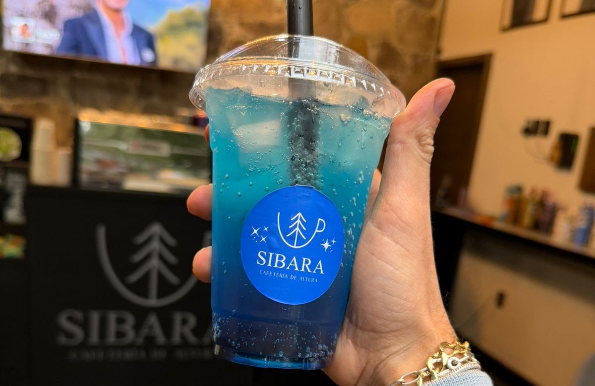 Sodas variedad